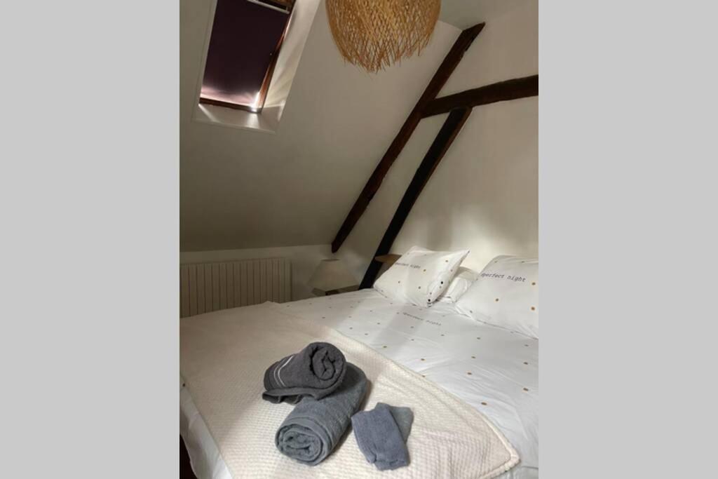 Appartement «La Vie Est Belle» Au Coeur De Sézanne Exteriör bild